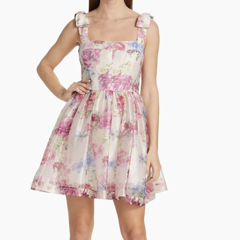 ML Monique Lhuillier Peony Fit-&-Flare Minidress